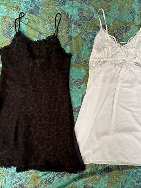 Two Chemises Beautiful And Sexy Nightgowns With Gorgeous Details